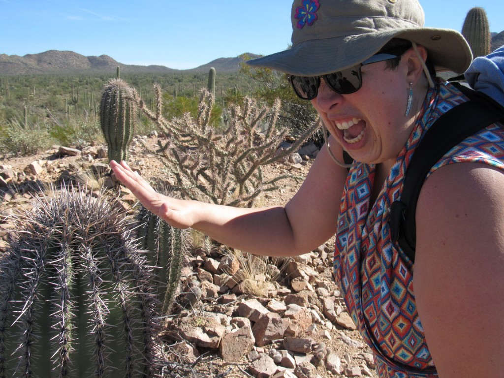 Cactus rien dans la soute