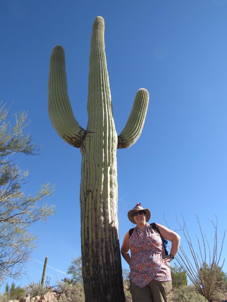 saguaro Profession Unicorn Blogger