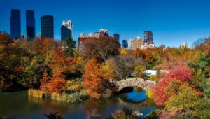 plus-size backpacker fatphobia new york central park sit-in