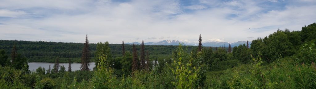 Mountain vista loop trail Denali Alaska