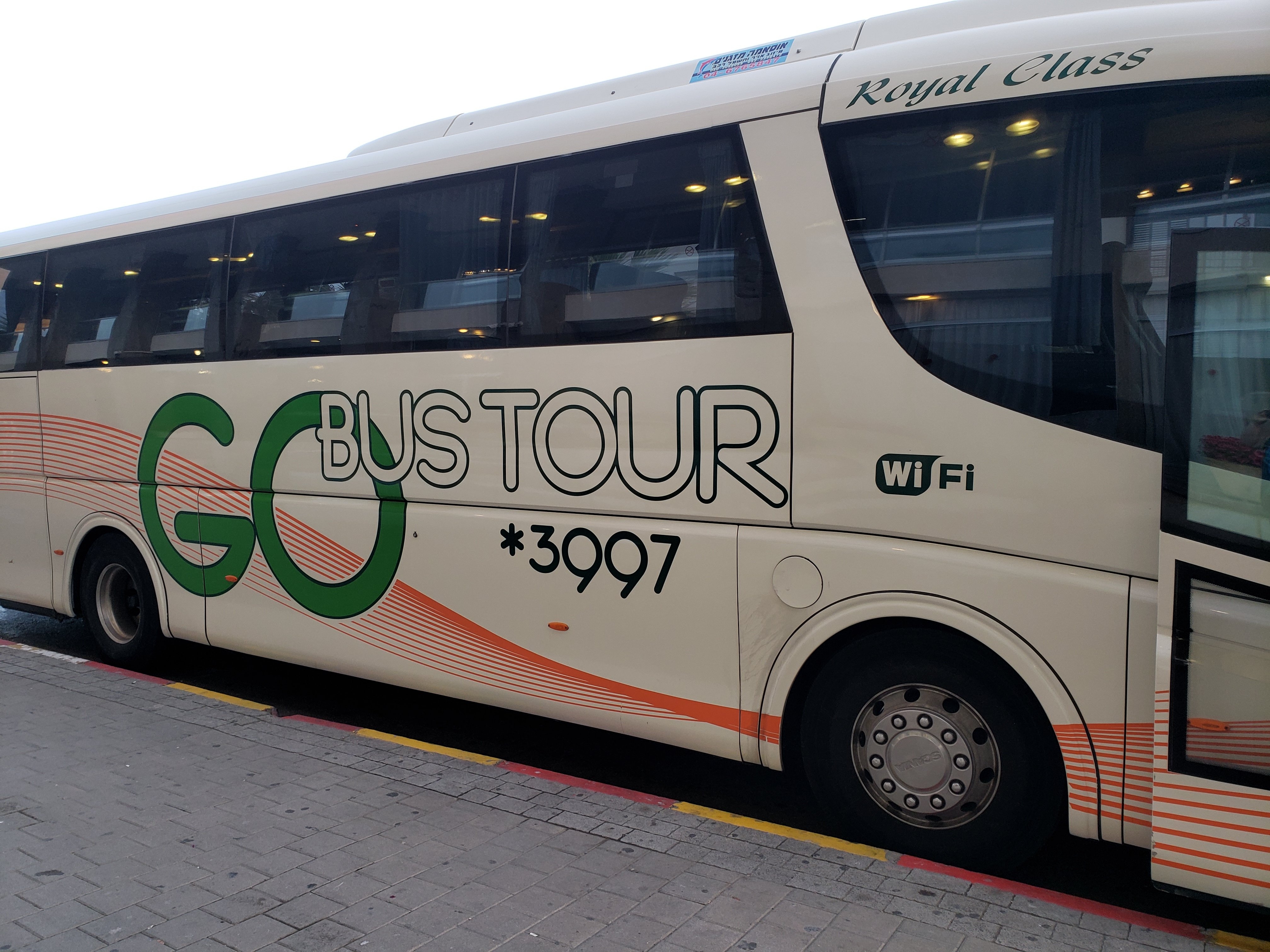 tourist israel bus